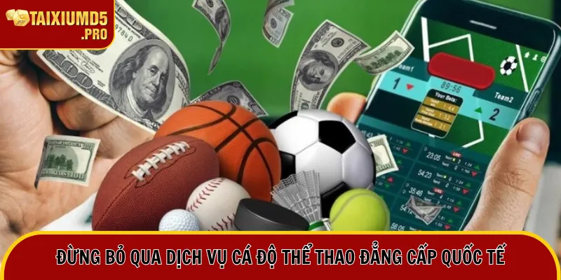 Đừng bỏ qua dịch vụ cá độ thể thao đẳng cấp quốc tế