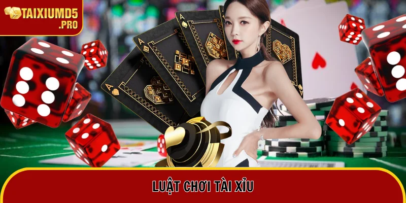 Luật Chơi Tài Xỉu: Các Quy Tắc Mà Người Chơi Cần Phải Nắm